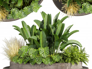 Collection plant vol 544 - garden - Landscape Design - backyard 3D Модель