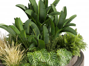 Collection plant vol 544 - garden - Landscape Design - backyard 3D Model