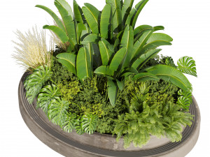 Collection plant vol 544 - garden - Landscape Design - backyard Modelo 3D