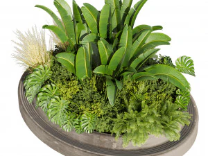 Collection plant vol 544 - garden - Landscape Design - backyard 3D Model