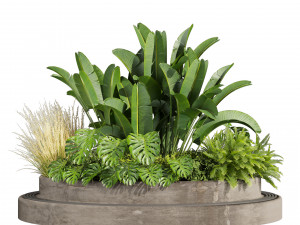 Collection plant vol 544 - garden - Landscape Design - backyard Modelo 3D