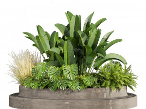 Collection plant vol 544 - garden - Landscape Design - backyard 3D Model