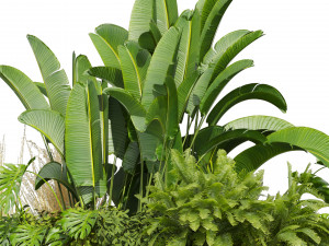 Collection plant vol 544 - garden - Landscape Design - backyard Modelo 3D