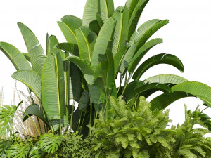Collection plant vol 544 - garden - Landscape Design - backyard 3D Model
