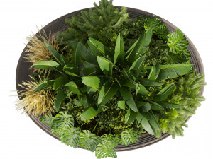 Collection plant vol 544 - garden - Landscape Design - backyard Modelo 3D