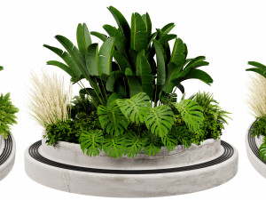 Collection plant vol 544 - blender model 3D Модель