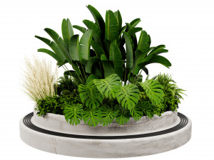 Collection plant vol 544 - blender model Model 3D