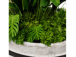 Collection plant vol 544 - blender model Model 3D