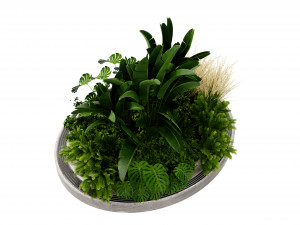Collection plant vol 544 - blender model Model 3D