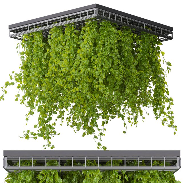 Collection plant vol 545 - ampelous - hanging - False Ceiling - tileable 3D 模型 .c4d .max .obj .3ds .fbx .stl .blend 