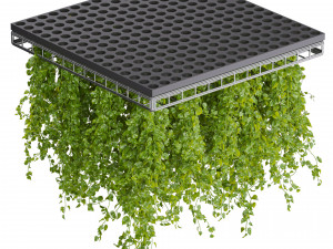 Collection plant vol 545 - ampelous - hanging - False Ceiling - tileable 3D 模型