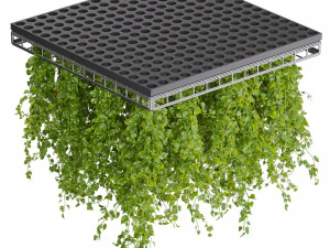 Collection plant vol 545 - ampelous - hanging - False Ceiling - tileable 3D Model
