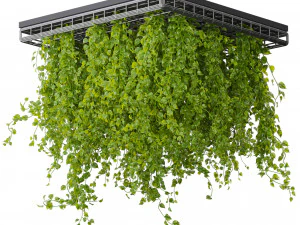 Collection plant vol 545 - ampelous - hanging - False Ceiling - tileable 3D Model