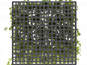 Collection plant vol 545 - ampelous - hanging - False Ceiling - tileable 3D 模型