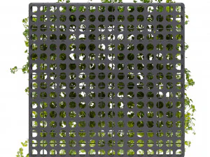 Collection plant vol 545 - ampelous - hanging - False Ceiling - tileable 3D Model