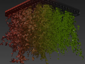 Collection plant vol 545 - ampelous - hanging - False Ceiling - tileable 3D 模型