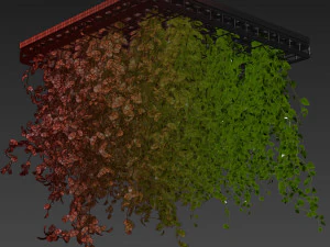 Collection plant vol 545 - ampelous - hanging - False Ceiling - tileable 3D Model