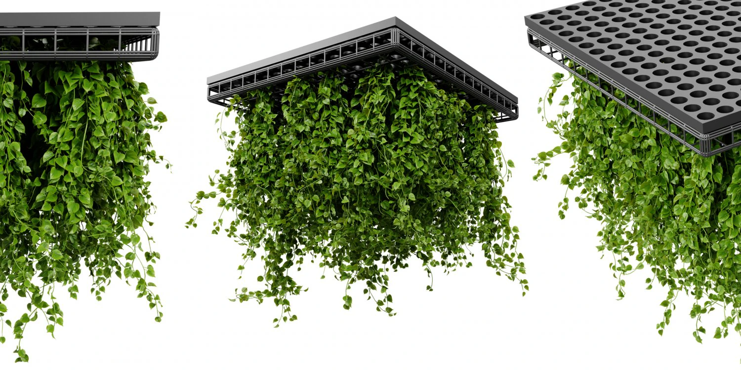 Collection plant vol 545 - модель блендера 3D Модель .c4d .max .obj .3ds .fbx .stl .blend 