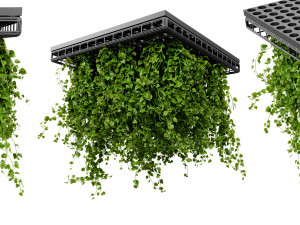 Collection plant vol 545 - blender model 3D Модель