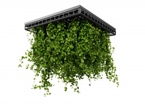 Collection plant vol 545 - blender model 3Dモデル