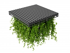 Collection plant vol 545 - blender model 3Dモデル