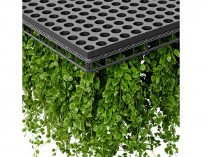 Collection plant vol 545 - модель блендера 3D Модель