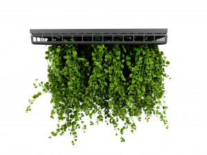 Collection plant vol 545 - blender model 3Dモデル