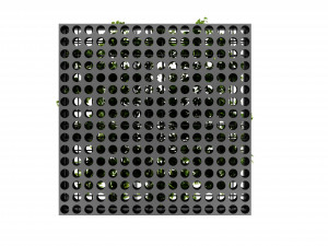 Collection plant vol 545 - blender model 3Dモデル