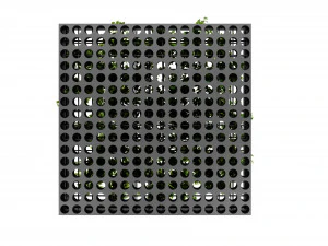 Collection plant vol 545 - модель блендера 3D Модель