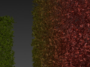 Collection plant vol 546 - bush - ivy - laurus - nobilis 3D Model