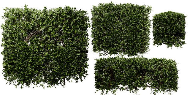 Collection plant vol 546 - blender model 3D 모델 .c4d .max .obj .3ds .fbx .stl .blend 