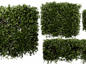 Collection plant vol 546 - blender model 3D Модель