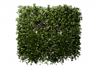 Collection plant vol 546 - blender model 3D 모델