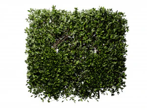 Collection plant vol 546 - blender model 3D Model