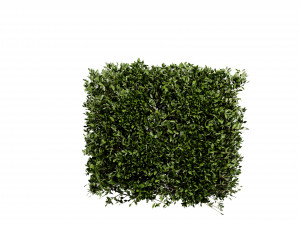 Collection plant vol 546 - blender model 3D 모델