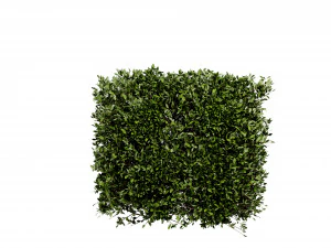 Collection plant vol 546 - blender model 3D Model