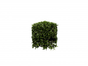 Collection plant vol 546 - blender model 3D 모델