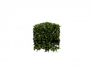 Collection plant vol 546 - blender model 3D Model