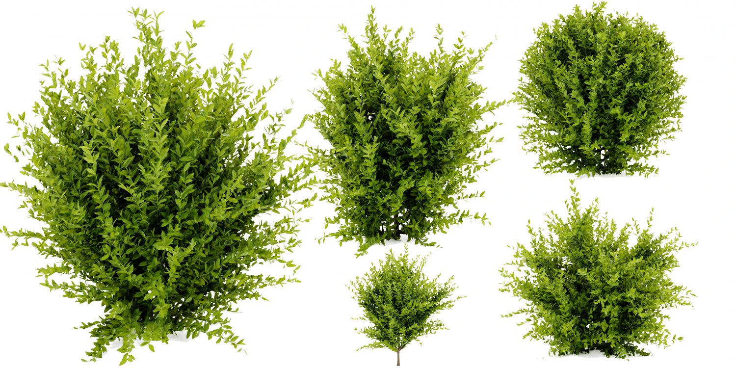 Collection plant vol 547 - blender model 3D Model .c4d .max .obj .3ds .fbx .stl .blend 