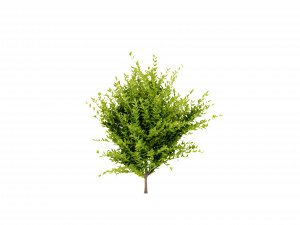 Collection plant vol 547 - blender model 3D 模型