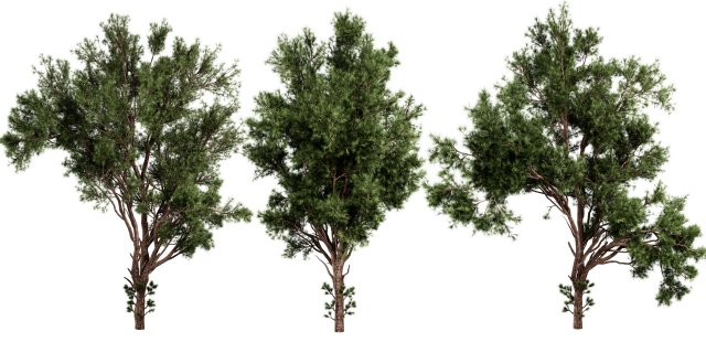 Collection plant vol 549 - blender model Model 3D .c4d .max .obj .3ds .fbx .stl .blend 