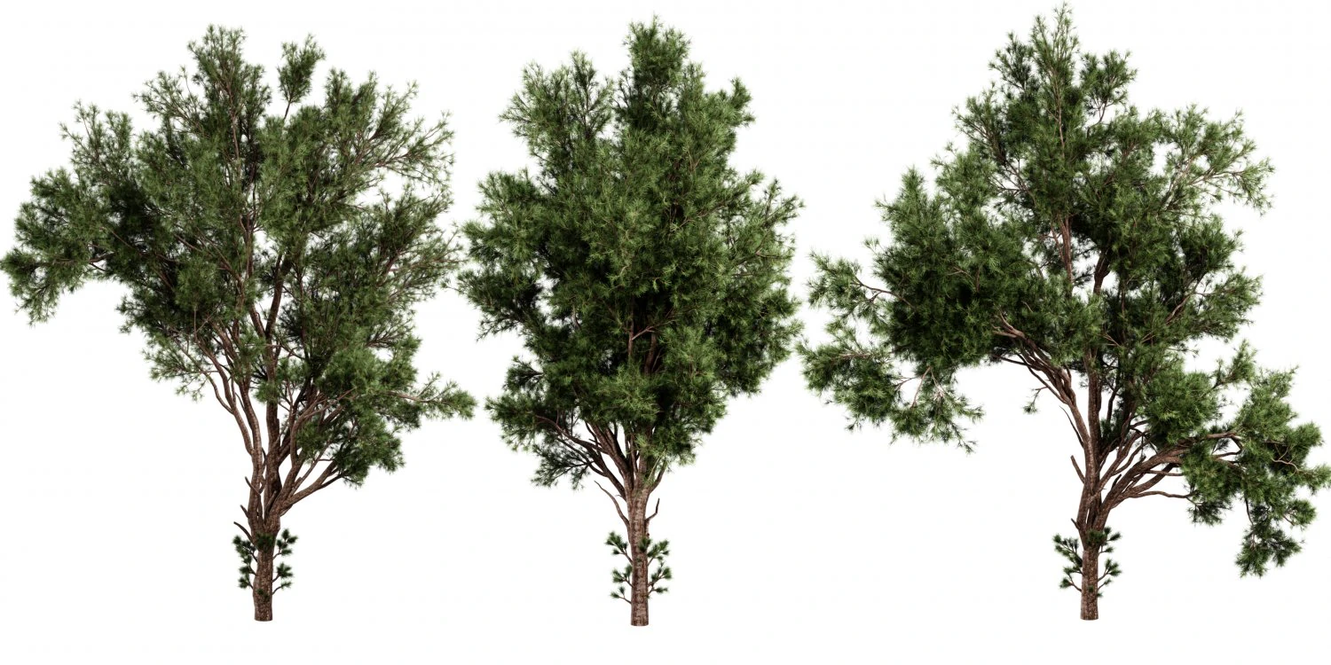 Collection plant vol 549 - blender model 3D Model .c4d .max .obj .3ds .fbx .stl .blend 