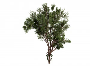 Collection plant vol 549 - blender model 3D Model