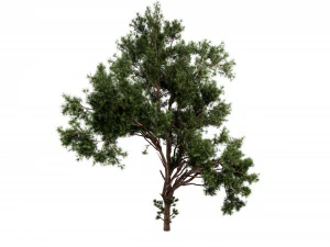 Collection plant vol 549 - blender model 3D Model