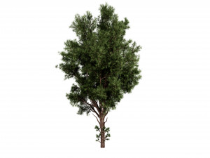 Collection plant vol 549 - blender model Model 3D