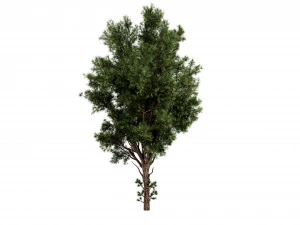 Collection plant vol 549 - blender model 3D Model