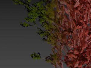 Collection plant vol 550 - tree - dwarf umbrella - Urban environment Modello 3D