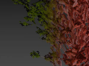 Collection plant vol 550 - tree - dwarf umbrella - Urban environment 3D Model