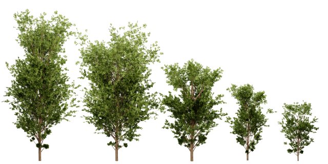 Collection plant vol 550 - blender model 3D Model .c4d .max .obj .3ds .fbx .stl .blend 