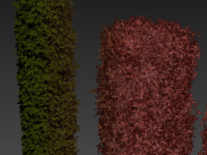 Collection plant vol 552 - Cylinder - ivy - laurus - nobilis - bush 3D Модель